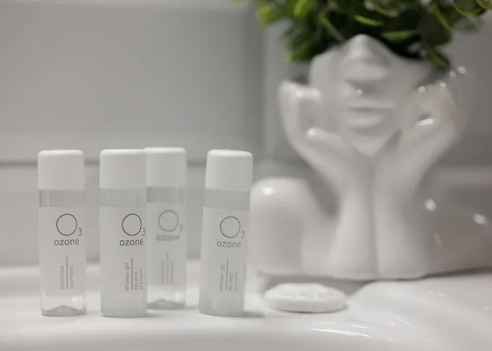 Stylish With Mezzanine, Next To Metro Station By Renters