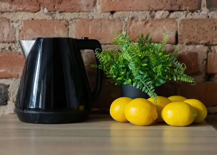 Stylish With Mezzanine, Next To Metro Station By Renters Daire Varşova